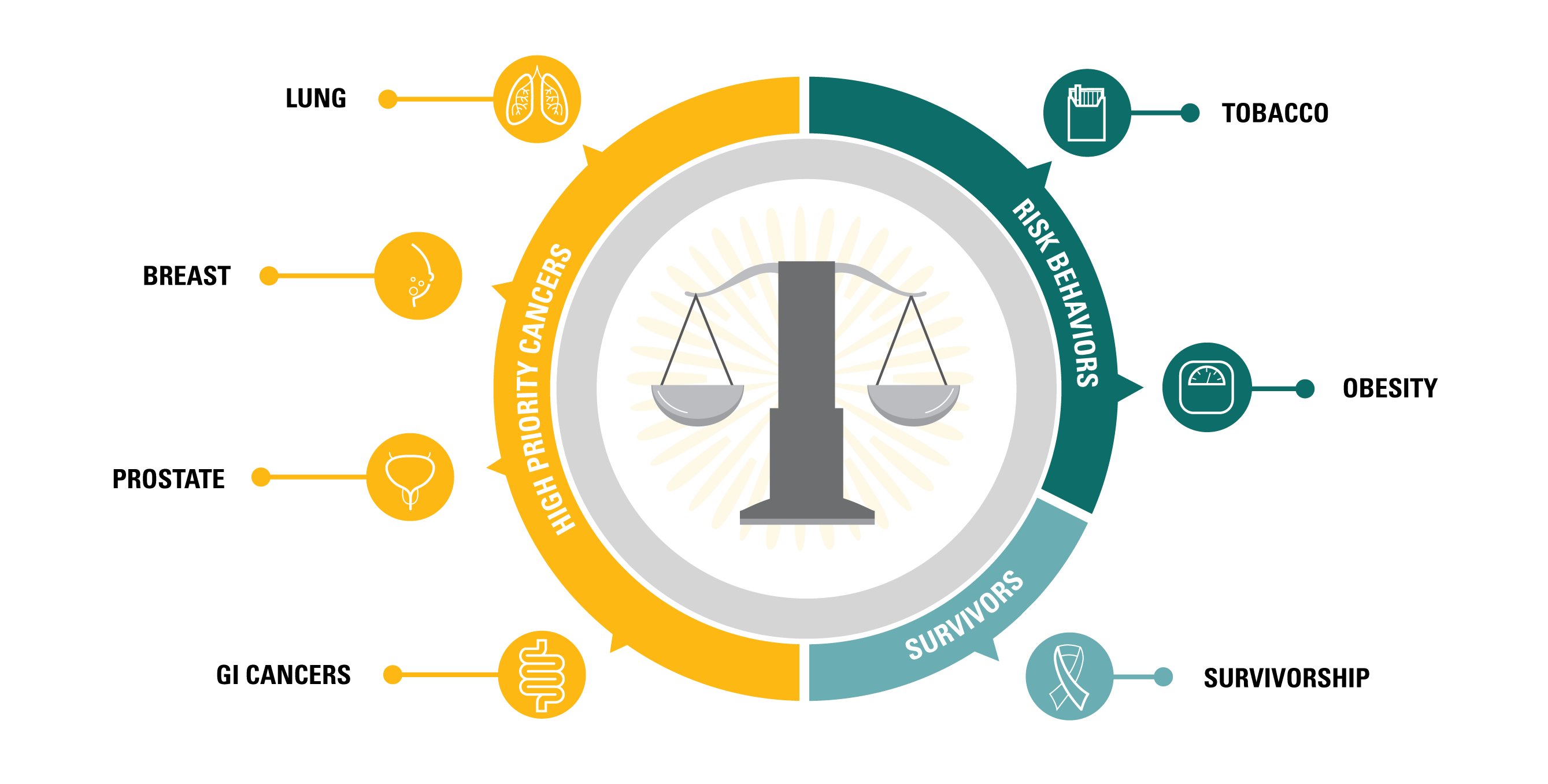 Web graphic of Massey strategic priorities, labeled with high priority cancers (GI, prostate, breast, lung), risk behaviors (tobacco, obesity), and survivors (survivorship)